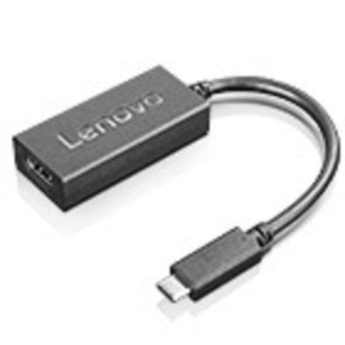 Lenovo 4X90M42956 Cavo di Interfaccia e Adattatore Usb-c Vga Nero - Immagine 1